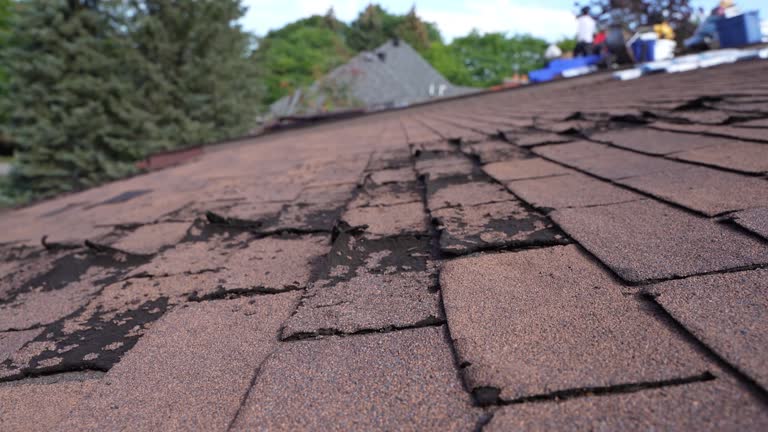Best Roofing for New Construction  in Richville, OH